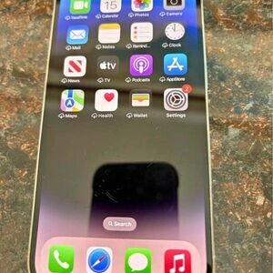 Apple iPhone Silver Front with Black Screen Display